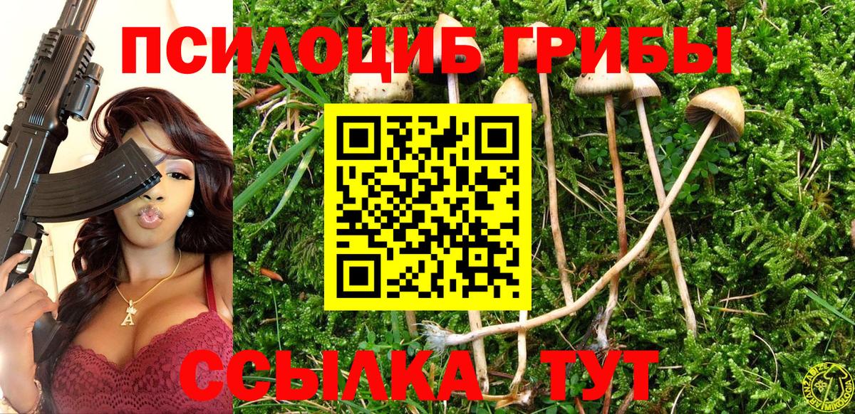 Старая Русса  Галлюциногенные грибы мухоморы  Вход с VPN  Псилоцибиновые грибы мухоморы 