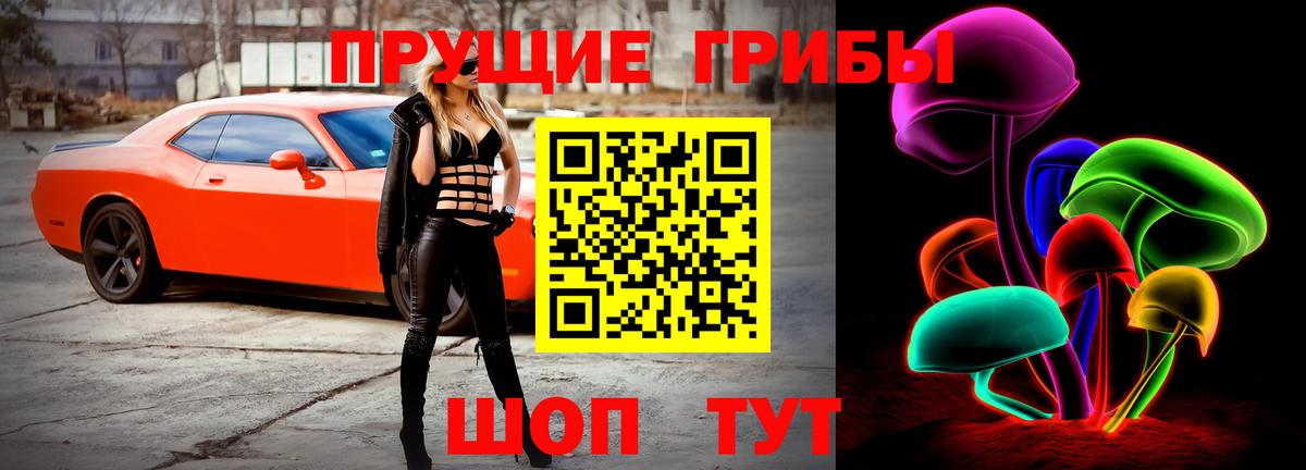 Галлюциногенные грибы прущие грибы Старая Русса